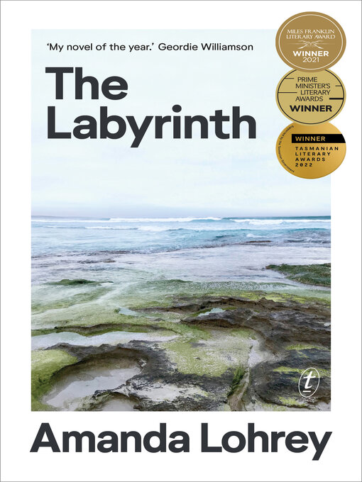 Title details for The Labyrinth: Winner of the 2021 Miles Franklin Literary Award by Amanda Lohrey - Available